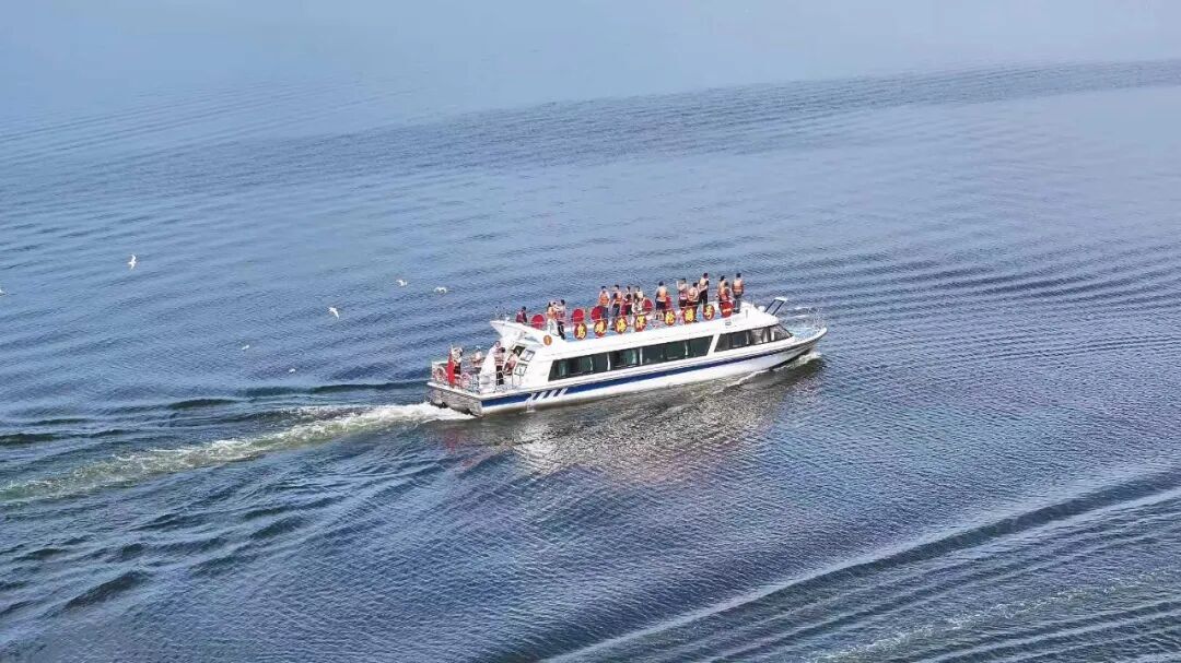 游客.jpg