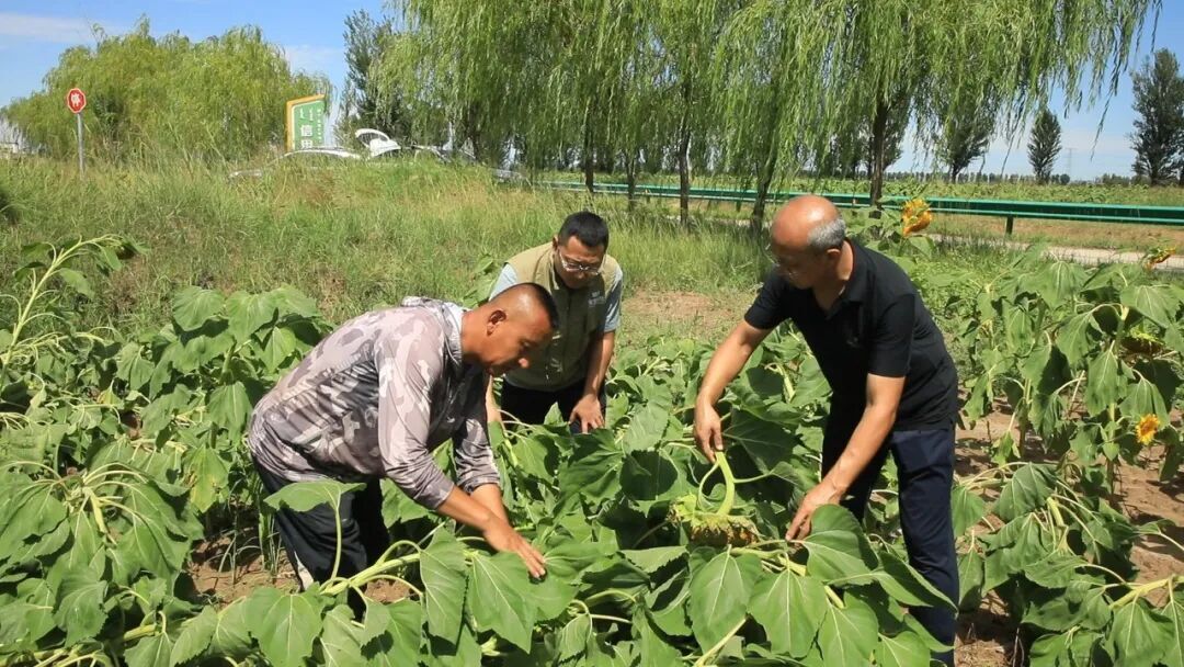 深入田间2.jpg